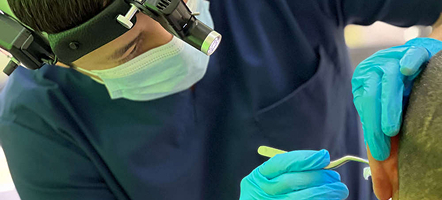 Doctor Azhenov